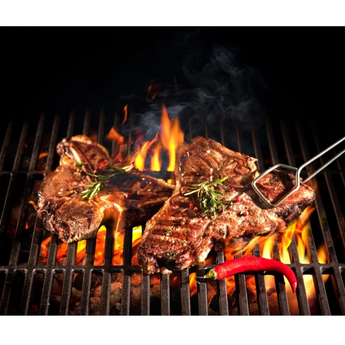 Profesyonel Kömürlü Fırın Siyah