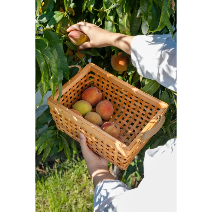 Aiden - Dekoratif 3 lü Kulplu Naturel El Yapımı Çok Amaçlı Ahşap Sepet Seti