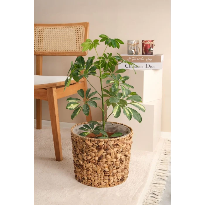 Romy - Büyük Boy Dekoratif Doğal El Örmesi Kalın Hasır İç Korumalı Saksı Sepeti