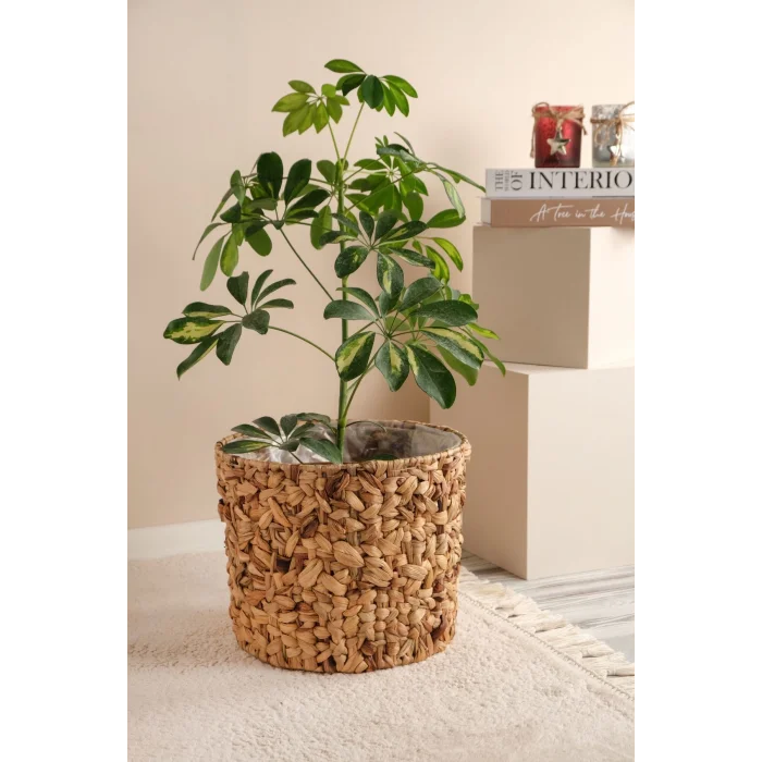 Romy - Büyük Boy Dekoratif Doğal El Örmesi Kalın Hasır İç Korumalı Saksı Sepeti