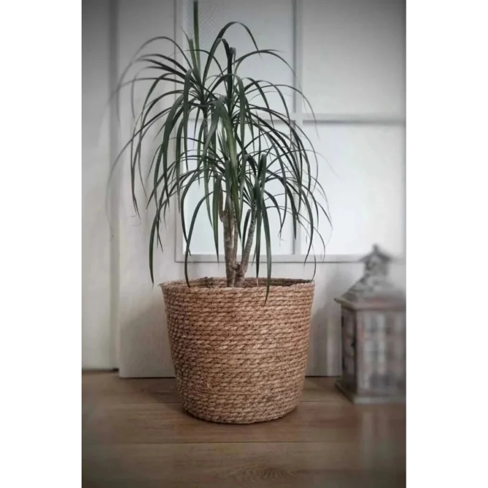 Natalie - Dekoratif Doğal El Örmesi Hasır Büyük Boy Saksı Sepeti 29 Cm