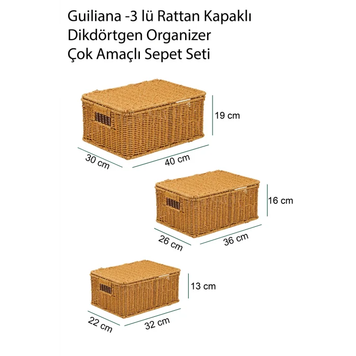 Guiliana -3 lü Rattan Kapaklı Dikdörtgen Organizer Çok Amaçlı Sepet Seti