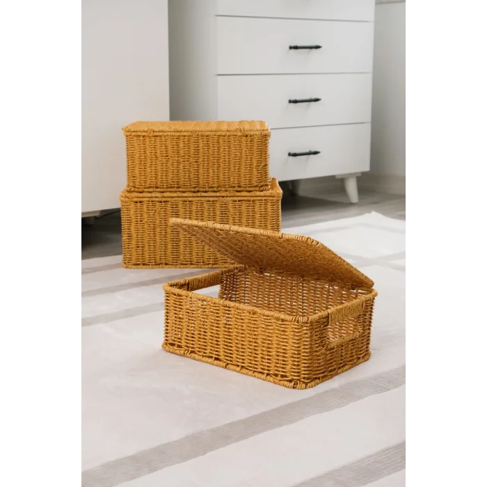Roberta -3 lü Rattan Kapaklı Dikdörtgen Organizer Çok Amaçlı Sepet Seti