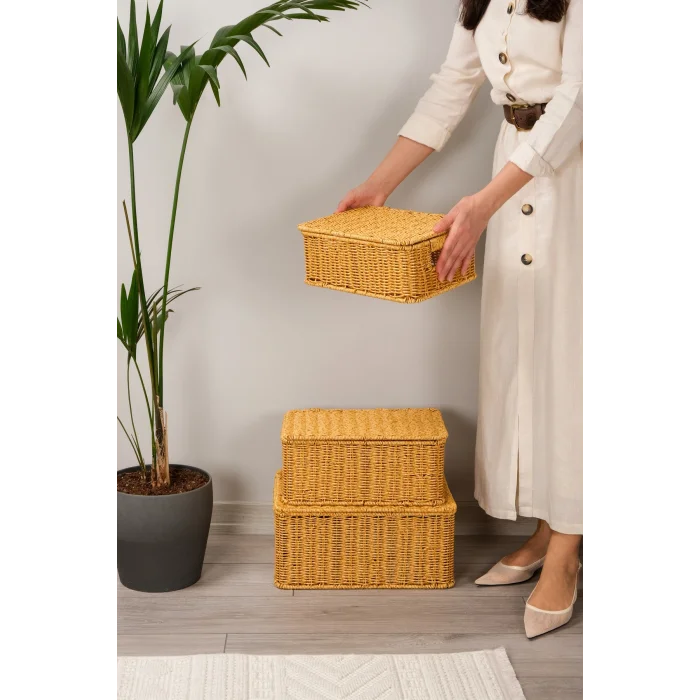 Roberta -3 lü Rattan Kapaklı Dikdörtgen Organizer Çok Amaçlı Sepet Seti