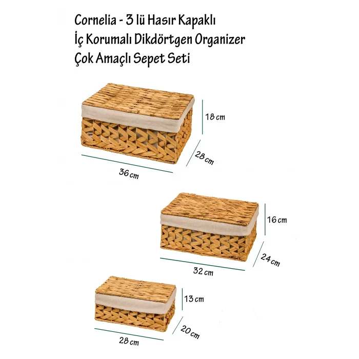 Naomi - 3 lü Hasır Kapaklı İç Korumalı Dikdörtgen Organizer Çok Amaçlı Sepet Seti