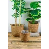 Colleen - Dekoratif Doğal El Örmesi Kulplu Hasır 3 Lü Saksı Sepet Seti