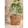 Romy - Büyük Boy Dekoratif Doğal El Örmesi Kalın Hasır İç Korumalı Saksı Sepeti
