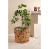Romy - Büyük Boy Dekoratif Doğal El Örmesi Kalın Hasır İç Korumalı Saksı Sepeti
