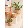 Romy - 3 lü Dekoratif Doğal El Örmesi Kalın Hasır İç Korumalı Saksı Sepet Seti