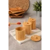 Arven - Bambu 3 lü Kapaklı Kaşıklı Baharat Kavanozu 10 cm x 8,5 cm