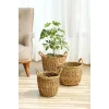Marlen - 3 lü Dekoratif Doğal El Örmesi Kulplu Hasır Saksı Sepet Seti