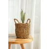 Marlen - 3 lü Dekoratif Doğal El Örmesi Kulplu Hasır Saksı Sepet Seti
