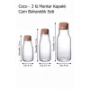 Coco - 3 lü Mantar Kapaklı Borosilikat Cam Baharatlık Seti