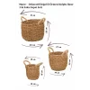Marie - Dekoratif Doğal El Örmesi Kulplu Hasır 3 lü Saksı Sepet Seti