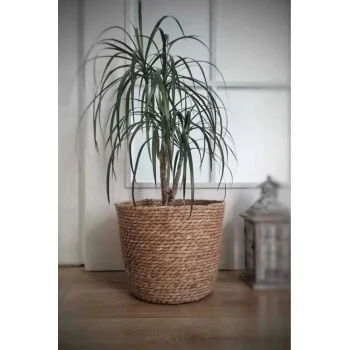 Natalie - Dekoratif Doğal El Örmesi Hasır Büyük Boy Saksı Sepeti 29 Cm