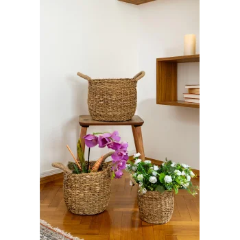 Marie - Dekoratif Doğal El Örmesi Kulplu Hasır 3 lü Saksı Sepet Seti