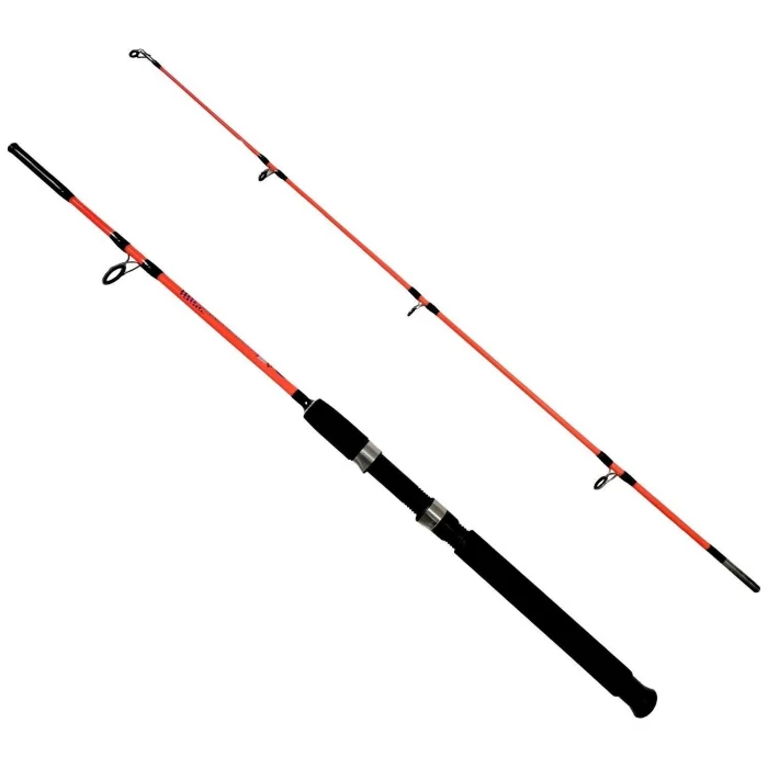 Kendo Holiday Boat 100-250gr 2 Parça Tekne Kamışı