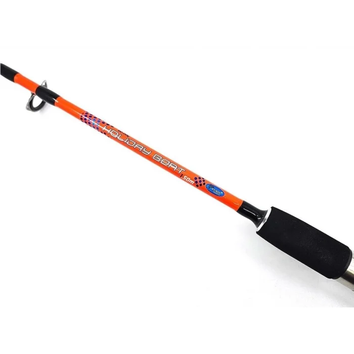 Kendo Holiday Boat 100-250gr 2 Parça Tekne Kamışı