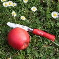Opinel Inox No 7 Paslanmaz Çelik Çakı (Kırmızı)