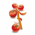 Victorinox 7.6075.9 Turuncu Yan Soyacak