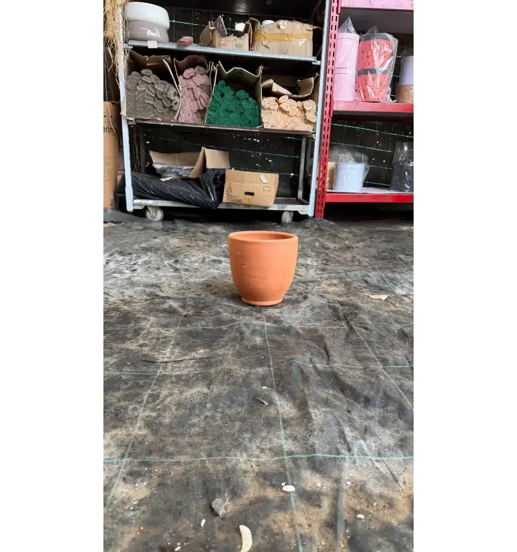 Dekoratif Çömlek Saksı Küçük Oval