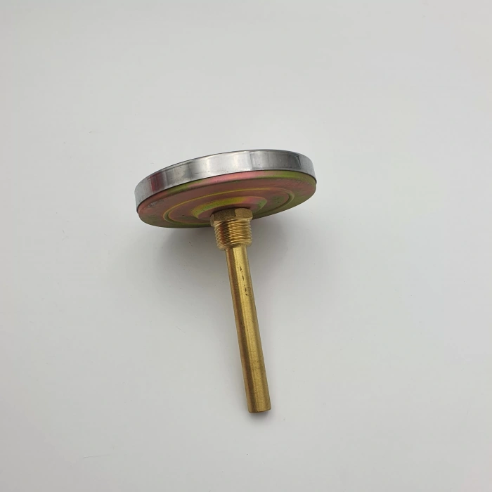 Termometre Arkadan Çıkışlı Q100 - 0 - 160°C 10 Cm 1/2