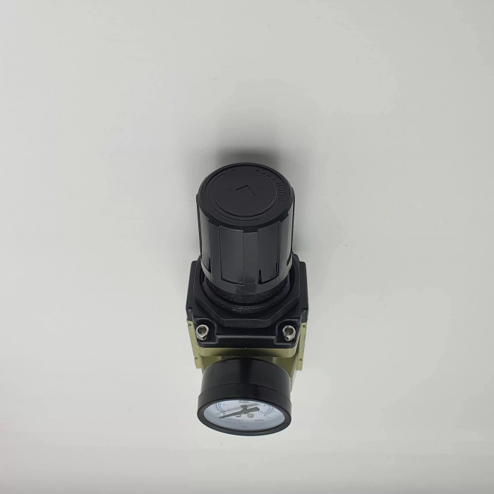 Filtre Regülatör Ew 4000 - 1/2