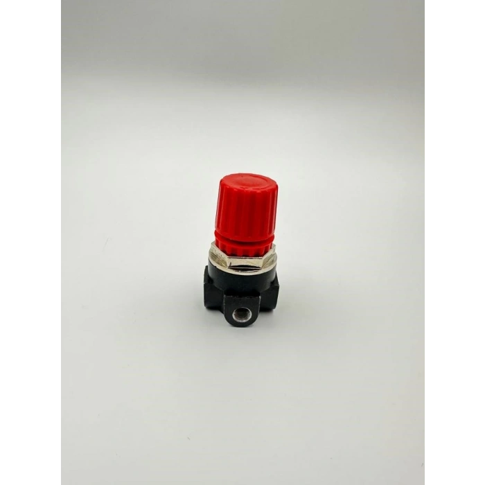 Regülatör 1/4