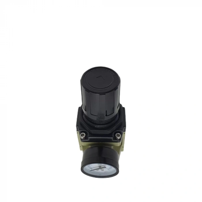 Filtre Regülatör Ew 3000 - 3/8