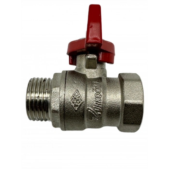 Kelebek Vana Erkek Dişi 3/4