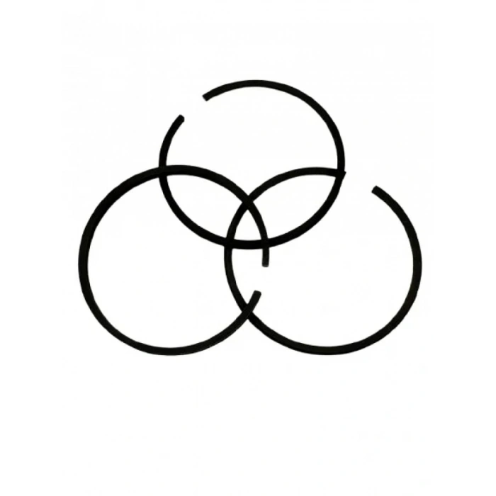 Kompresör Piston Segmanı Takımı 47mm