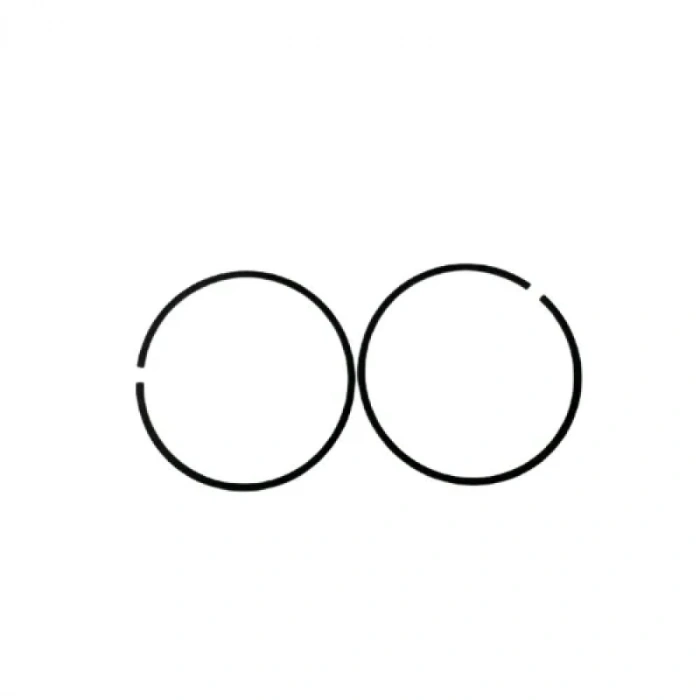 Gazlı Çivi Çakma Tabancası Pistonu Segmanı TRUSTY GCN40