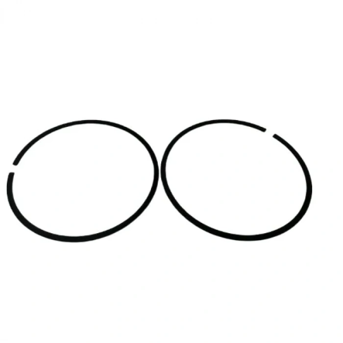 Gazlı Çivi Çakma Tabancası Pistonu Segmanı TRUSTY GCN40