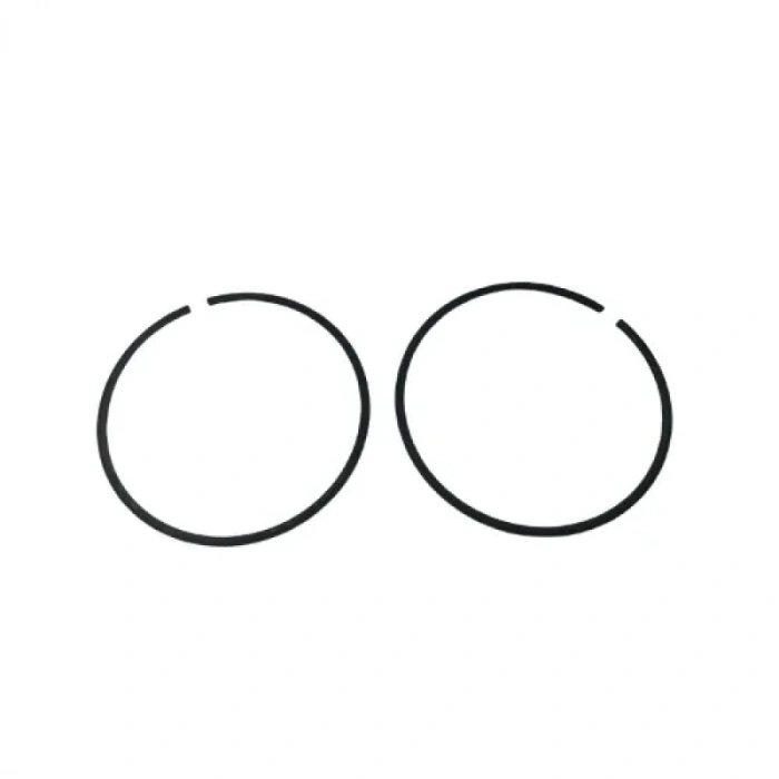 Gazlı Çivi Çakma Tabancası Pistonu Segmanı TRUSTY GCN40