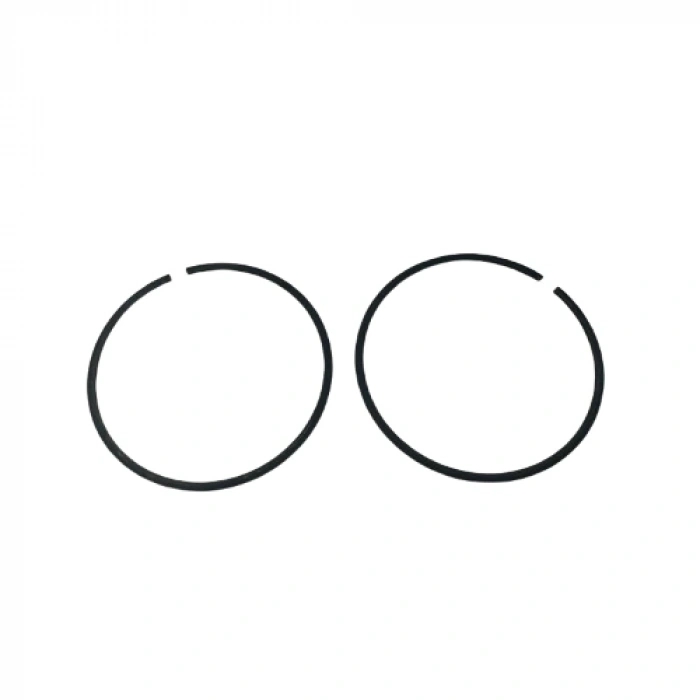 Gazlı Çivi Çakma Tabancası Pistonu Segmanı TRUSTY GCN40