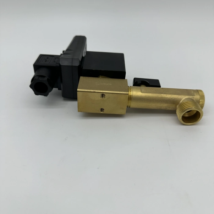 Kompresör Otomatik Su Tahliye Valfi Zaman Ayarlı 1/2 NK 12/24/220V Ac/Dc