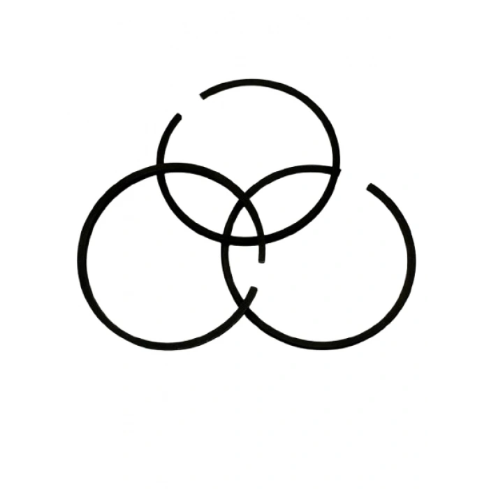 Kompresör Piston Segmanı Takımı 47mm