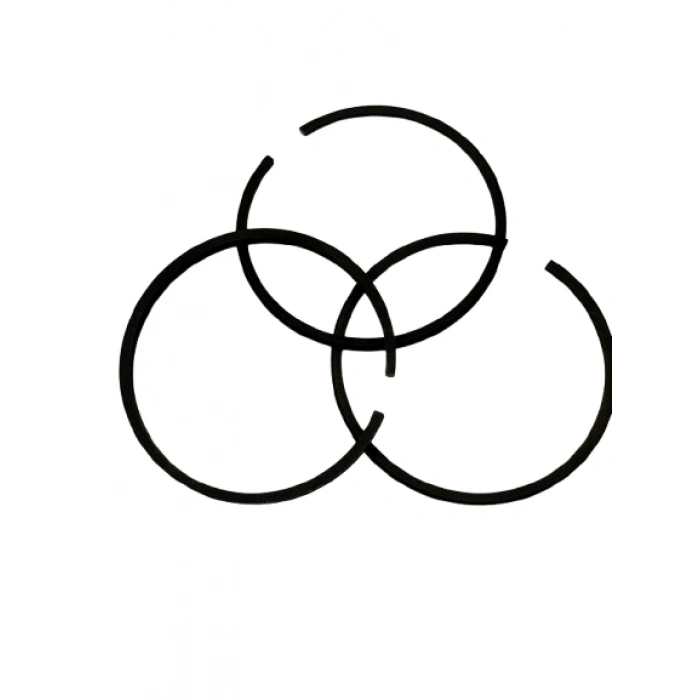 Kompresör Piston Segmanı Takımı 47mm