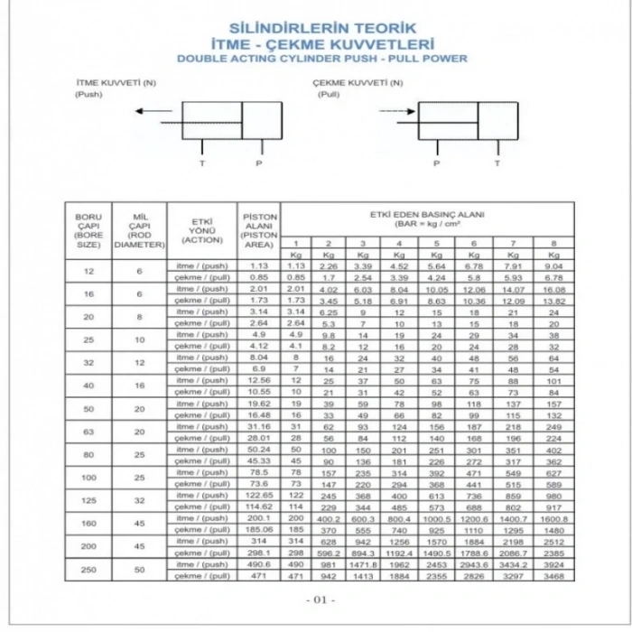 Pnömatik Çift Etkili Manyetik Kalem Silindir Piston Q10 - 50mm