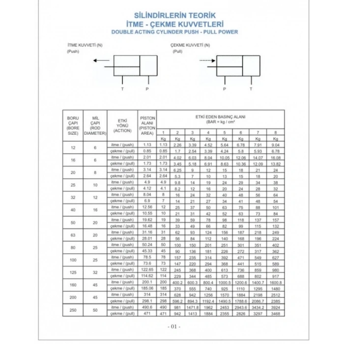 Pnömatik Çift Etkili Manyetik Kalem Silindir Piston Q16 - 20mm