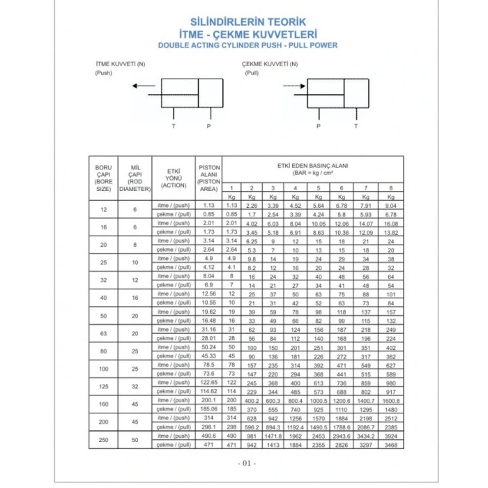Pnömatik Silindir Piston Manyatik Yastıklı 100x160