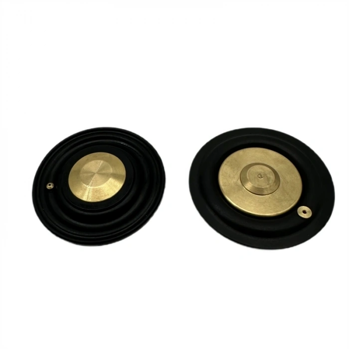 Solenoid Valf Gm Nbr Diyaframı 1