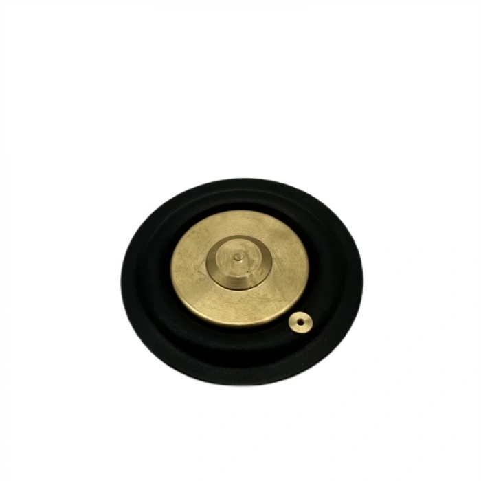 Solenoid Valf Gm Nbr Diyaframı 3/4