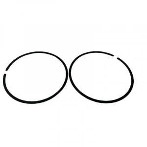 Gazlı Çivi Çakma Tabancası Pistonun Segmanı YAMA