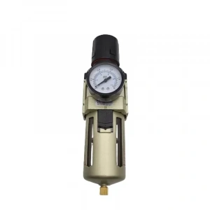 Filtre Regülatör Ew 4000 - 1/2