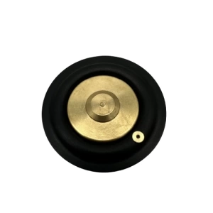 Solenoid Valf Gm Nbr Diyaframı 1