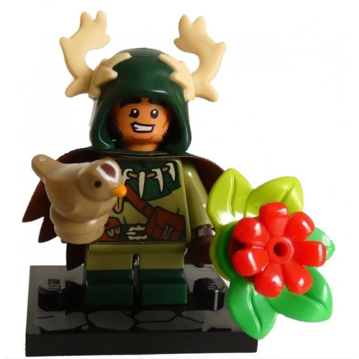 LEGO® Minifigures 71047 Dungeons And Dragons 12Li Set