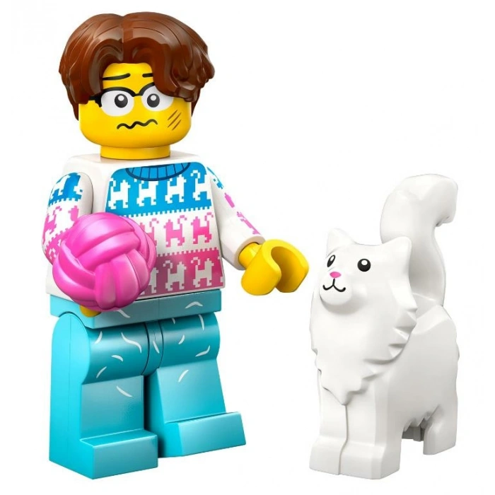 LEGO® Minifigures 71048 Series 27 12Li Set