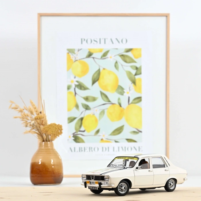 Norev 1/18 Renault 12 1993 Tuning (300 Limited)