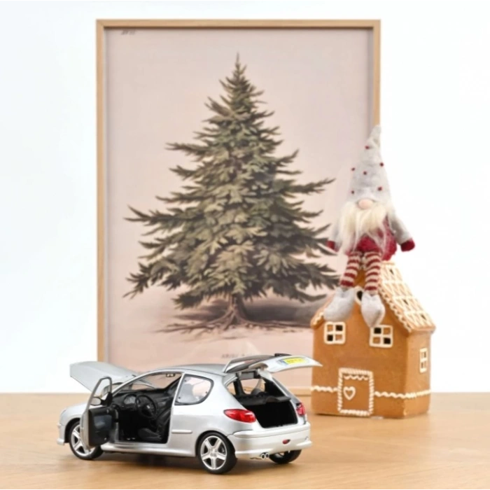 Norev Peugeot 206 RC 2003 Aluminium Silver